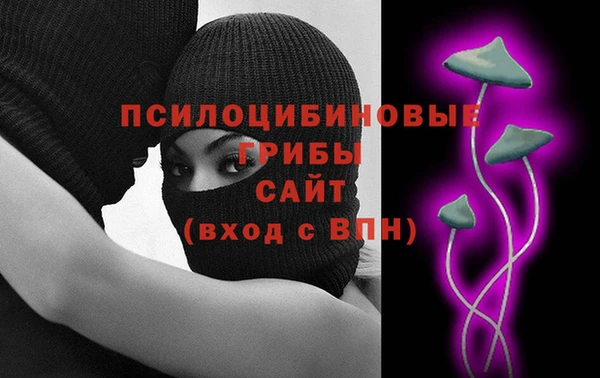 дмт Алексин