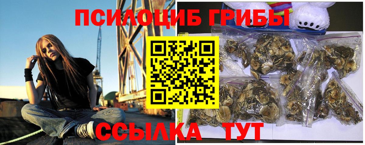Галлюциногенные грибы мицелий Серов